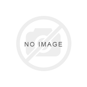 16949 Ignition Coil-EGR Valvue-EGR Assembly